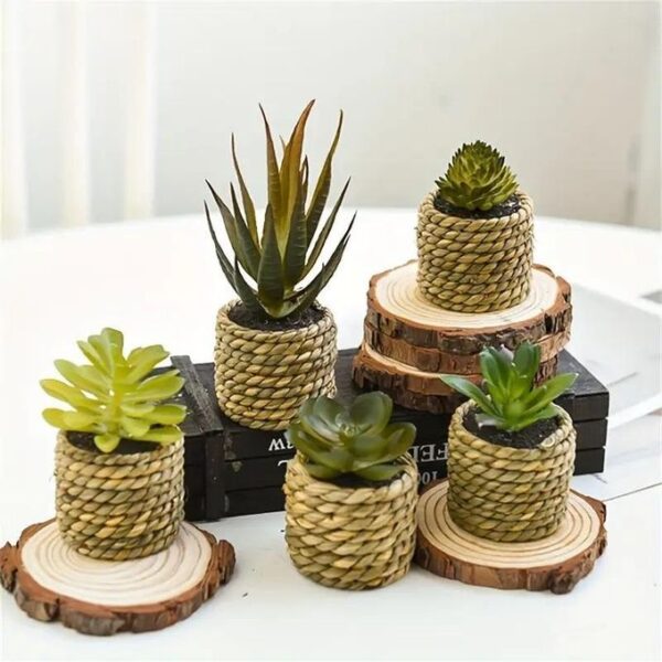 Small Potted Plant Flower set