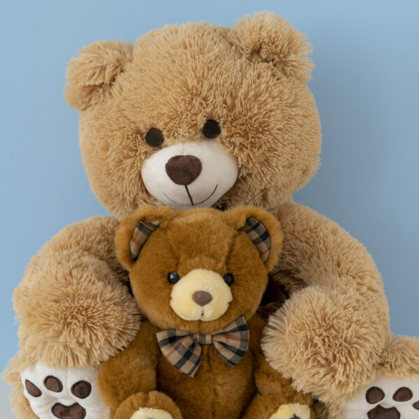 Customised Teddy Bear